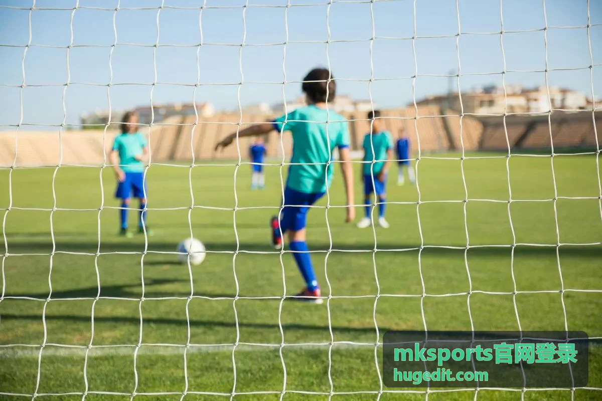 mksports官网登录入口与账号指引页面展示