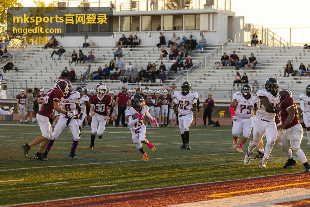 mksports官网登录功能模块与赛事服务整体使用示意