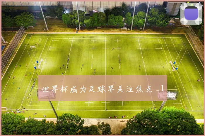 世界杯成为足球界关注焦点 _1