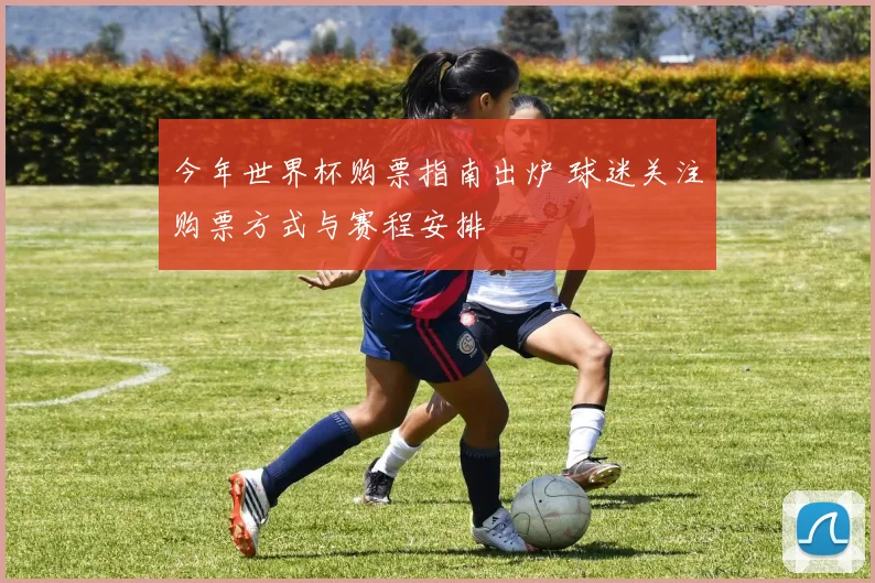 今年世界杯购票指南出炉 球迷关注购票方式与赛程安排
