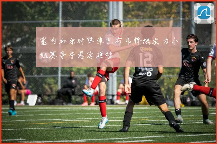 塞内加尔对阵津巴布韦锋线发力小组赛争夺悬念延续