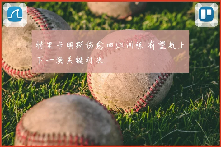特里卡明斯伤愈回归训练 有望赶上下一场关键对决